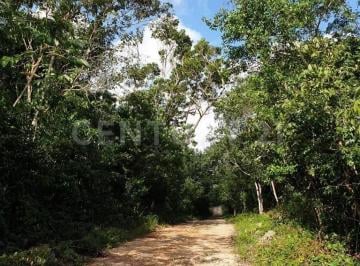 Terreno / Lote · 30000m² · Terreno en Venta en Chemuyil 8.8 Km de La Carretera