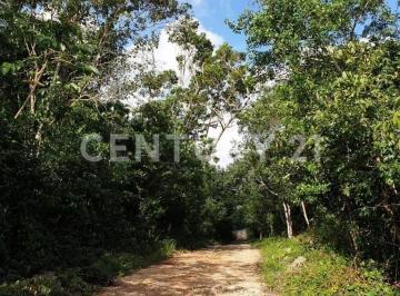 Terreno / Lote · 3m² · Terreno en Venta en Chemuyil 8.8 Km de La Carretera