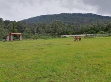 Terreno / Lote · 7698m² · Terreno en Venta en Valle de Bravo con Uso de Suelo H.333.a