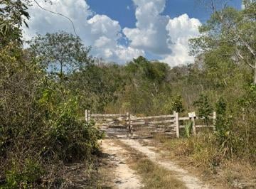 Rancho , Champotón · Rancho en Venta