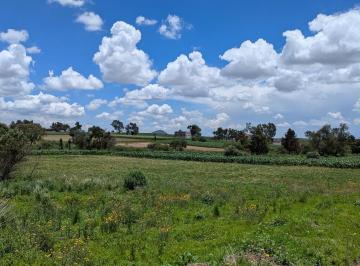 Terreno / Lote · 5400m² · Terreno en Venta en Zacango