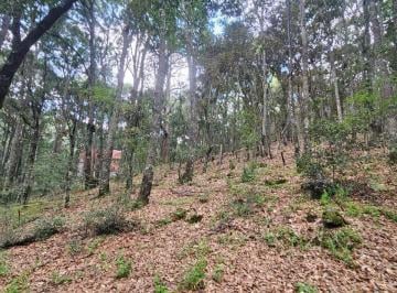 Terreno / Lote · 9000m² · Lagunas de Servin Terreno