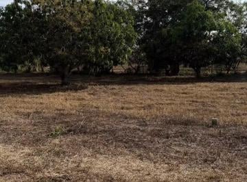 Terreno / Lote , San Pedro Mixtepec · Terreno Playa Palmarito Oaxaca