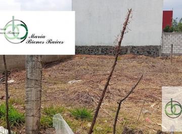 Terreno / Lote · Terreno en Unidad Deportiva