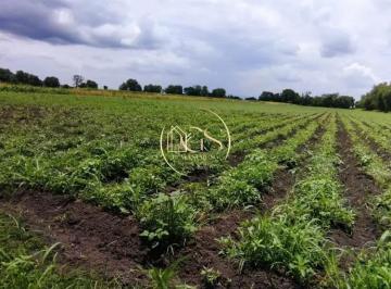 Terreno comercial · 59300m² · Terreno en Venta San Juan de La Vega Celaya