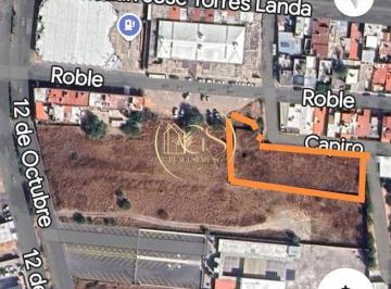 Terreno comercial · 2000m² · Terreno Bardeado en Renta Capiro Los Laureles Celaya