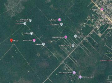 Terreno / Lote , Tulum · 1 Hectárea en La Mejor Zona de Selva de Francisco Uh May