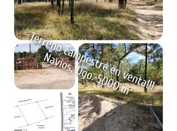 Terreno / Lote , Durango · Terreno de 5000 m² de Superficie Total en Venta en Durango