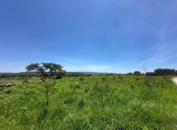 Rancho de 1 habitación, Yahualica de González Gallo · Rancho de 136 Ha en Venta Altos de Jalisco
