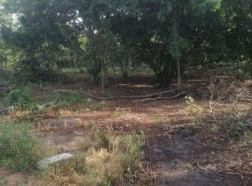 terreno 5000m2 · Terreno Para Quinta