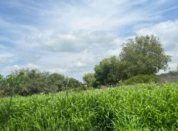 Terreno / Lote , Apaseo el Grande · Terreno en Venta en Apaseo El Grande Guanajuato