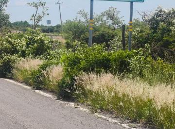 Rancho de 1 habitación, Apaseo el Alto · Se Venden 5 Hectáreas 8000 Mil m² Pie de Carretera Rancho La Nopalera Apaseo El Alto Gto