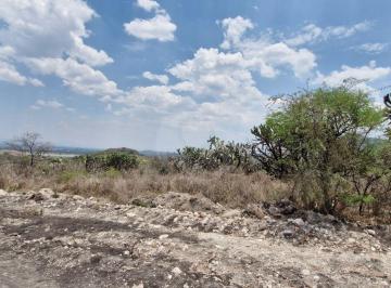 20260509_125540.jpg · Terreno Comercial en Venta en Corregidora