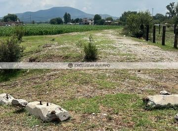 Terreno / Lote · 78000m² · Terreno Residencial en Venta en La Planada