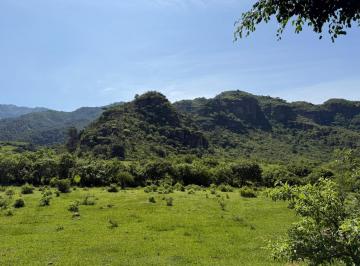 Terreno / Lote , Malinalco · Terreno en Venta en Malinalco. Camino a Los Diablitos
