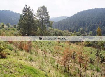 Terreno / Lote · 17028m² · Terreno Residencial en Venta en Cañada de Alférez