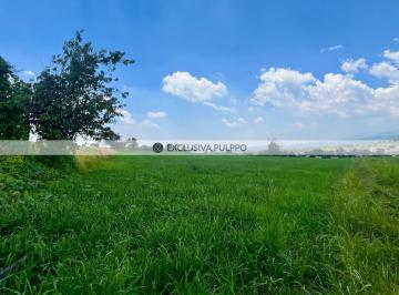 DJI_20250804_131448_556 2.JPG · Terreno Residencial en Venta en Chalco de Díaz Covarrubias Centro