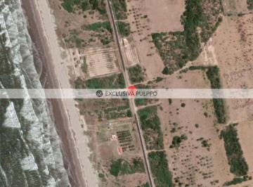 Terreno / Lote · 2950m² · Playa de Novillero: Terreno Residencial en Venta en Pueblo Novillero