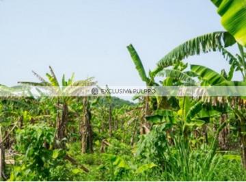 Terreno / Lote · 300000m² · Terreno Residencial en Venta en Aeropuerto Bahías de Huatulco