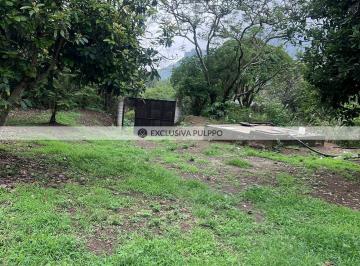 IMG_8465.jpeg · Terreno Residencial en Venta en Pueblo Tlayacapan