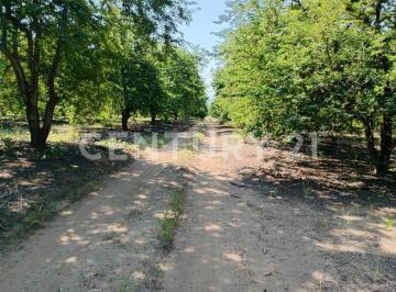 Terreno / Lote · 224165m² · Parcela en Venta Augusto Gomez Villanueva Armeria, Colima