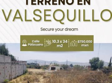 Terreno / Lote , Puebla · Terreno de 350 m² de Superficie Total en Venta en Oasis Valsequillo, Precio $ a Tratar.