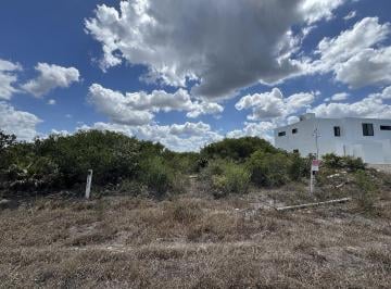 f27f77849c4e82e7e85e416bd8b0d70e6f2eab02e14043ea6b1c18146b1b450d · Terreno en Venta de 275 m² en La Playa de San Benito, Dzemul.