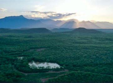 f4d02d3280af3f8eafbe11d2f464bf8fb6ec62c02f6c198568b5533d1680cf39 · Rancho de 200 Has Totalmente Cercado | Montemorelos