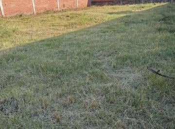 Terreno comercial , Cuautla · Venta de Terreno en Tetelcingo Cuautla, Morelos.