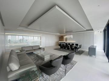 Departamento · 350m² · 2 Recámaras · 4 Estacionamientos · Departamento PH Amueblado de Lujo en Polanco, Rubén Dario 225