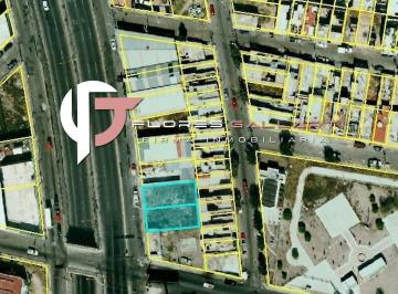 Terreno / Lote · 243m² · Terreno en Renta en El Fracc. Pintores Mexicanos Al Oriente de La Ciudad