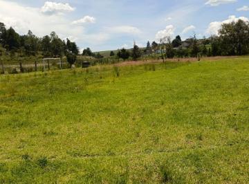 Terreno / Lote · 3700m² · Terreno en Venta, San Miguel Almoloyan
