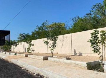Terreno industrial , Hunucmá · Terreno Industrial en Venta en Hunucmá Yucatán
