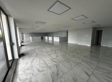 Oficina , Alvaro Obregón · Oficina Acondicionada en Renta en Altavista, San Angel. | Oficina con Terraza