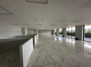 Oficina , Alvaro Obregón · Oficina Acondicionada en Renta en Altavista, San Angel. | Oficina con Terraza