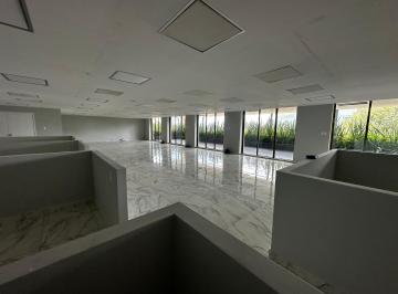 Oficina , Alvaro Obregón · Oficina Acondicionada en Renta en Altavista, San Angel. | Oficina con Terraza