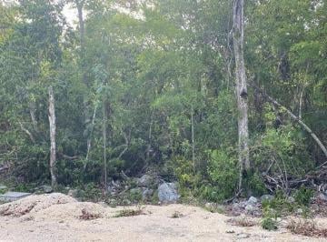 1b6aefd5a05aee10633aeb913377962da78b17e0d22b13ea4420a3d42e75fdb2 · Terreno en Venta 404 m² — Selva Secreta, Tulum (Riviera Maya)