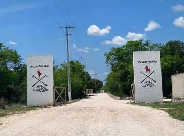 Terreno / Lote · 1250m² · Terrenos en Venta en Yucatán Polo Club