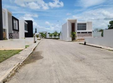 Terreno / Lote · 250m² · Terreno en Venta en Conkal, Mérida Yucatánterreno