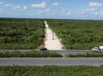 Terreno / Lote · 1030m² · Terreno Para Bodega Industrial en Venta en Seyé, Seyé Yucatán