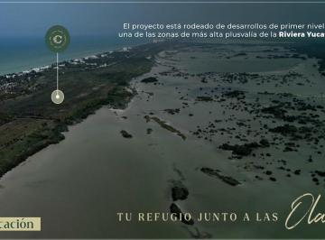 Terreno / Lote · 160m² · Terreno en Venta en San Bruno, Dzemul Yucatán (Eb - Vw6539)