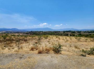 Terreno / Lote · 204548m² · Terreno en Venta en Tehuixtla, Morelos