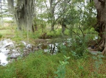 Terreno / Lote · 31272m² · Terreno en Venta Montemorelos N L
