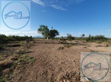 Terreno / Lote · 49103m² · Terreno Venta Los Villarreales Salinas Victoria