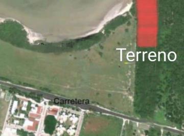 Terreno / Lote · 28000m² · Terreno en Venta La Pesca Tamaulipas