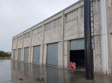 Local comercial , Actopan · Abarrotes Casa Vargas