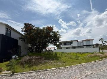 Terreno / Lote · 352m² · Terreno en Venta - (4)