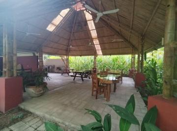 Inmueble productivo urbano de 5 habitaciones, Palenque · Hotel en Palenque en Venta