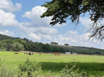Local comercial · 1200m² · 4 Recámaras · Venta Rancho Ganadero 84 Has en Gran Morelos Chihuahua