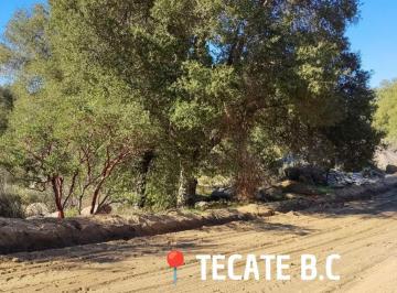 Terreno / Lote , Tecate · Terrenos Campestres Desde 1800 M²/6094 M²ideales Para Ranchos, Cabañas, o La Casa de Tus Sueños